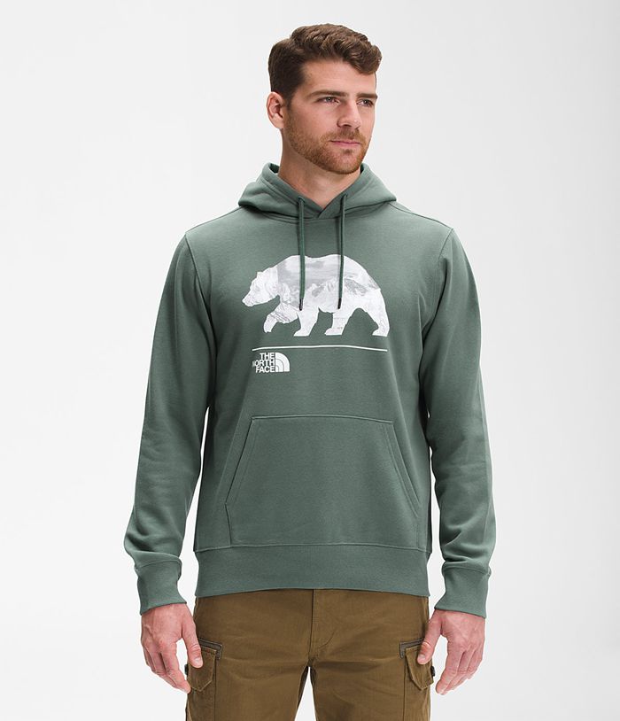 Sudadera Con Capucha The North Face Hombre Verde Bearscape Pullover 39724AYIL